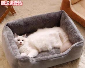 小猫会睡其他猫的窝么？如何解决猫咪领地行为问题？