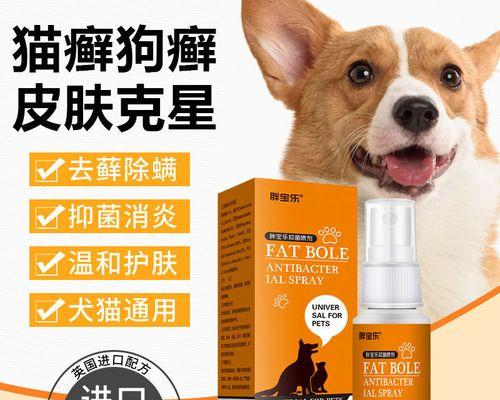 小猫猫癣用什么药最好？如何正确选择治疗猫癣的药物？