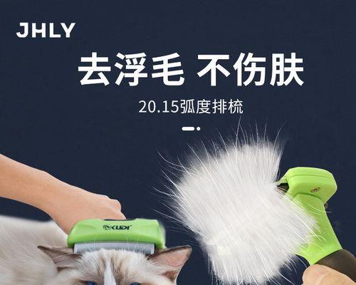 小猫受伤出血了怎么办？紧急处理方法和注意事项是什么？