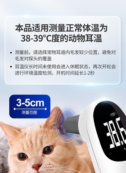 小猫睡觉时体温多少算正常？如何测量？