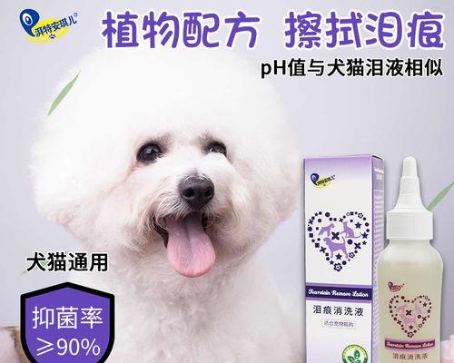 小猫误食眼药水怎么办？紧急处理方法和预防措施是什么？