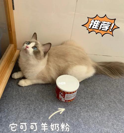 小猫羊奶粉一次放几勺合适？喂养指南及常见问题解答？