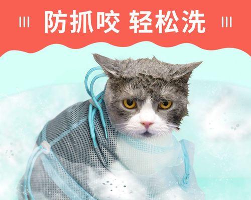 一个多月大的小猫可以洗澡吗？需要注意什么？