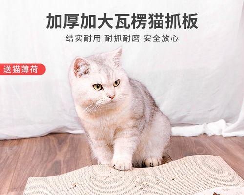 小猫用爪子抓人是什么原因？如何防止小猫抓人？