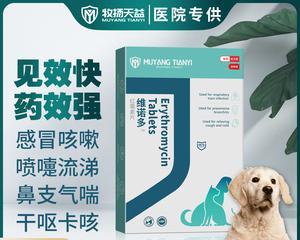 训练犬感冒内服什么药？如何正确选择犬用感冒药物？