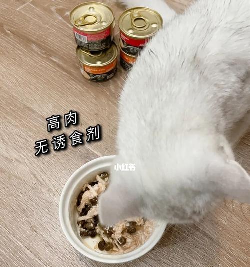 一个月小猫吃几克猫粮合适？如何计算幼猫每日所需？