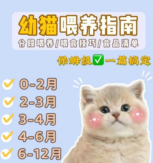 幼猫多大开始吃猫粮？正确喂食时间表是什么？