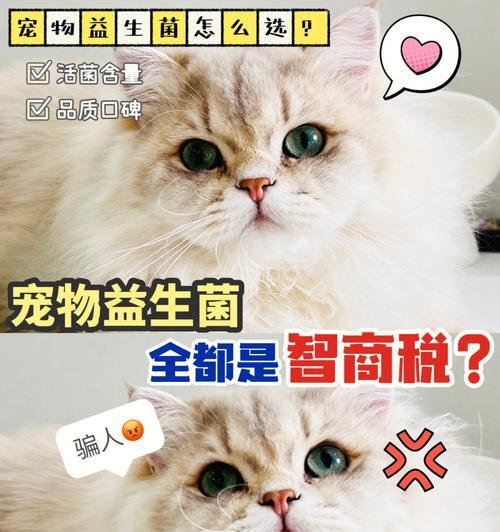 小猫可以吃益生菌吗？益生菌对小猫有什么好处？