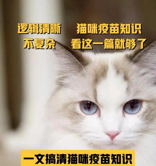 猫咪只打了三针疫苗有什么影响？后续还需要注意什么？