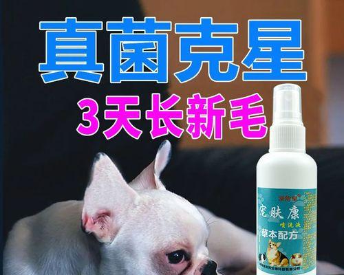 狗狗螨虫真菌感染怎么办？有效偏方有哪些？