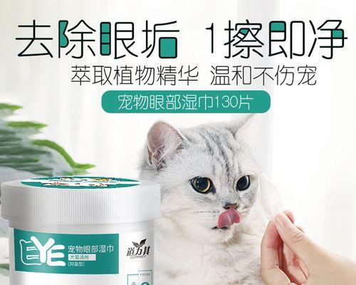 给小猫起名字可爱大全？如何选择最合适的昵称？