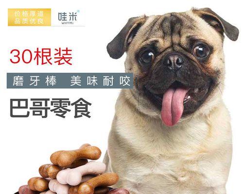 狗误食骨头后应吃什么食物？如何处理这种情况？