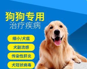 狗狗冠状治疗要多少钱？治疗费用和注意事项是什么？