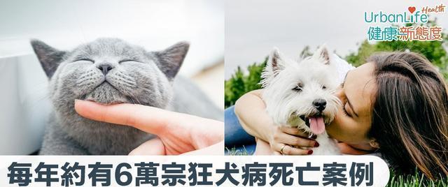 狗狗狂犬疫苗打什么的？如何确保接种安全有效？