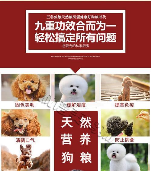 三斤狗粮可以喂幼犬多久？每次喂食的最佳间隔是多久？