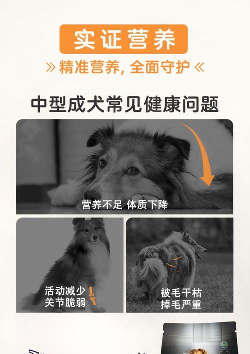 三个月大的中型犬每天应该吃多少狗粮？食量是否正常？