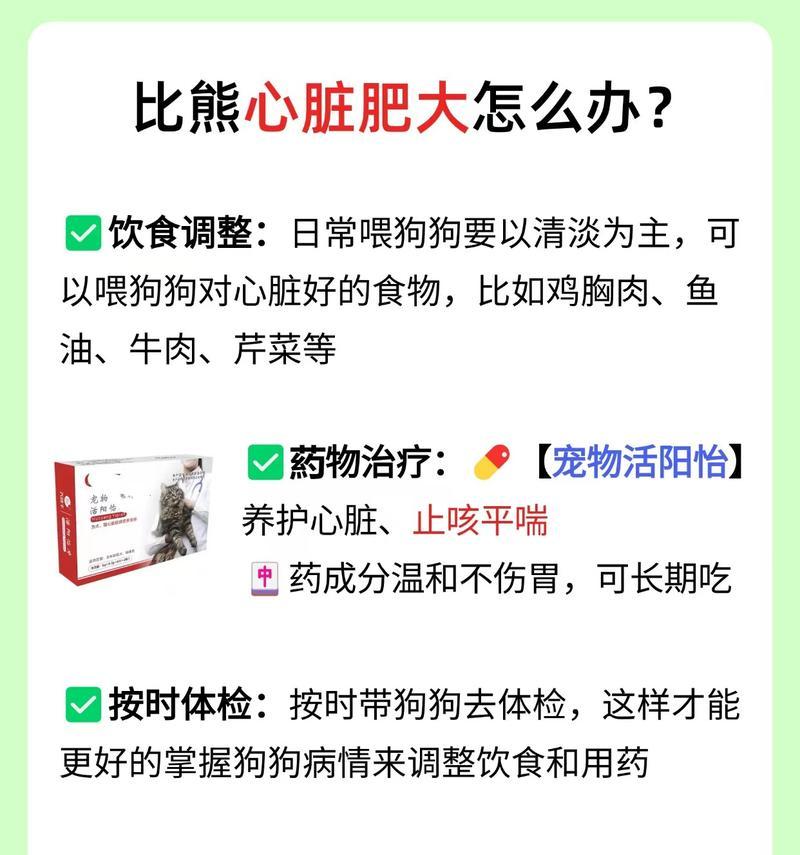 比熊犬吃鸡胸肉好吗？怎样烹饪最有益健康？