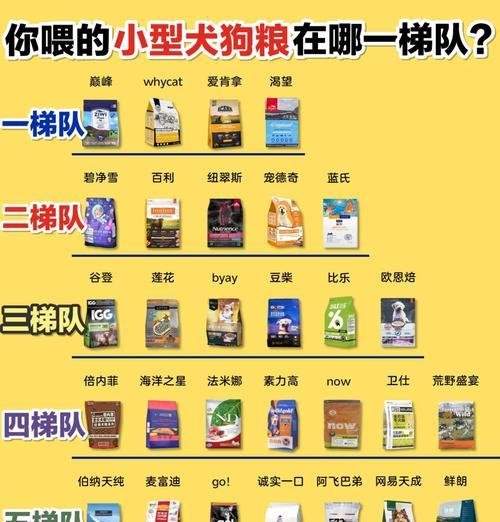 小型犬一天应该吃多少狗粮？如何根据小型犬的体重和活动量来调整喂食量？