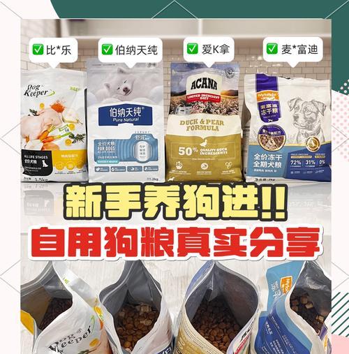 四个月大的狗狗每天需要多少狗粮？如何根据活动量调整食量？