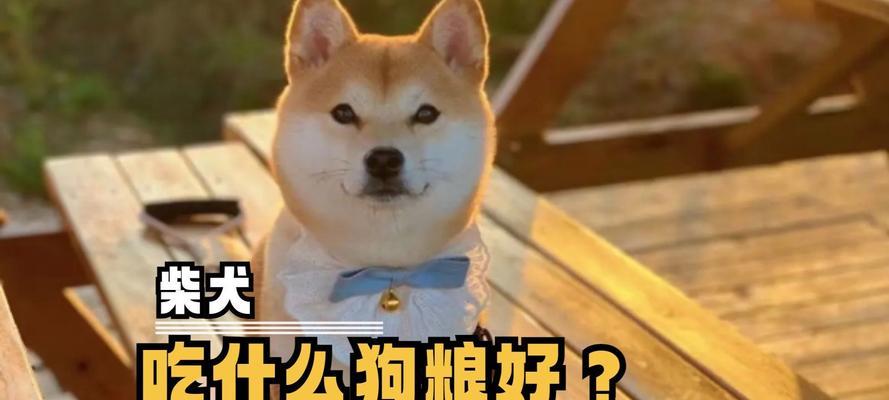 2个半月大的柴犬应该选择哪种狗粮？如何为幼年柴犬挑选合适的狗粮？