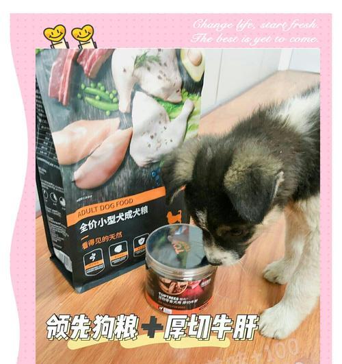 小型犬7斤狗粮的消耗时间是多久？如何规划喂食计划？