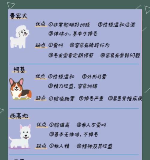 贵宾犬体型排行榜如何？哪些品种更受欢迎？