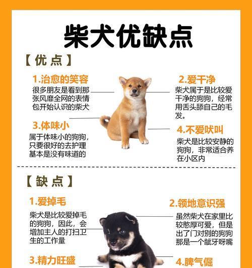 小型柴犬的标准体重是多少？购买一只小型柴犬需要多少钱？