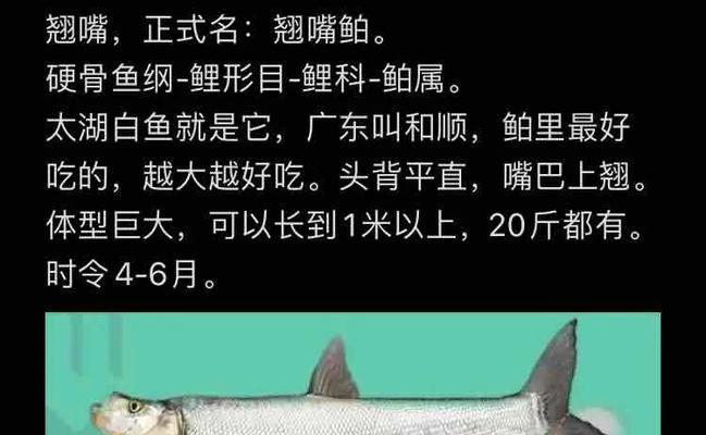 翘嘴鱼苗是什么鱼类的？翘嘴鱼苗的养殖方法是什么？