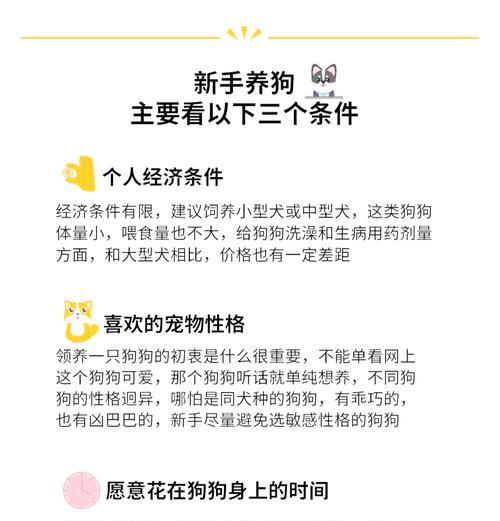 小型犬适合哪些营养品？如何选择合适的营养品？