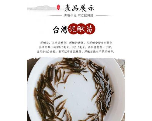 小鱼苗需要加热吗？如果鱼苗不吃食应该怎么办？