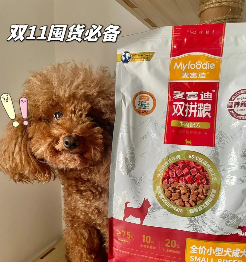 6个月大的泰迪犬价格是多少？购买时应注意什么？