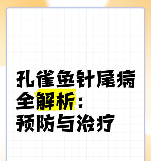 孔雀鱼苗破尾的原因是什么？如何预防？