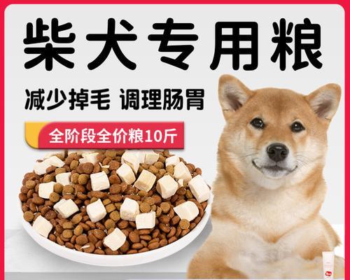 柴犬泪痕问题如何根治？治疗费用大概是多少？