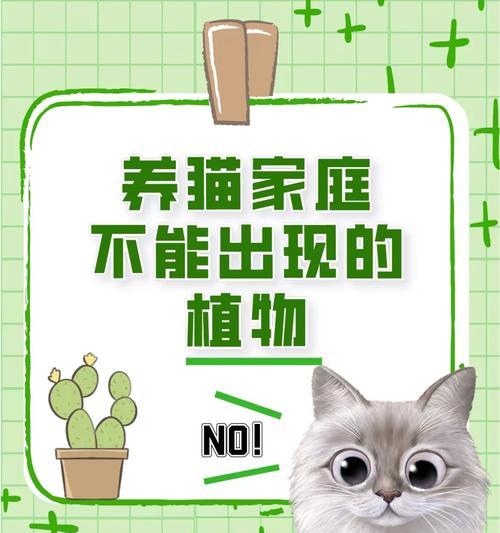 如何防止流浪狗误食猫粮？有哪些安全措施？