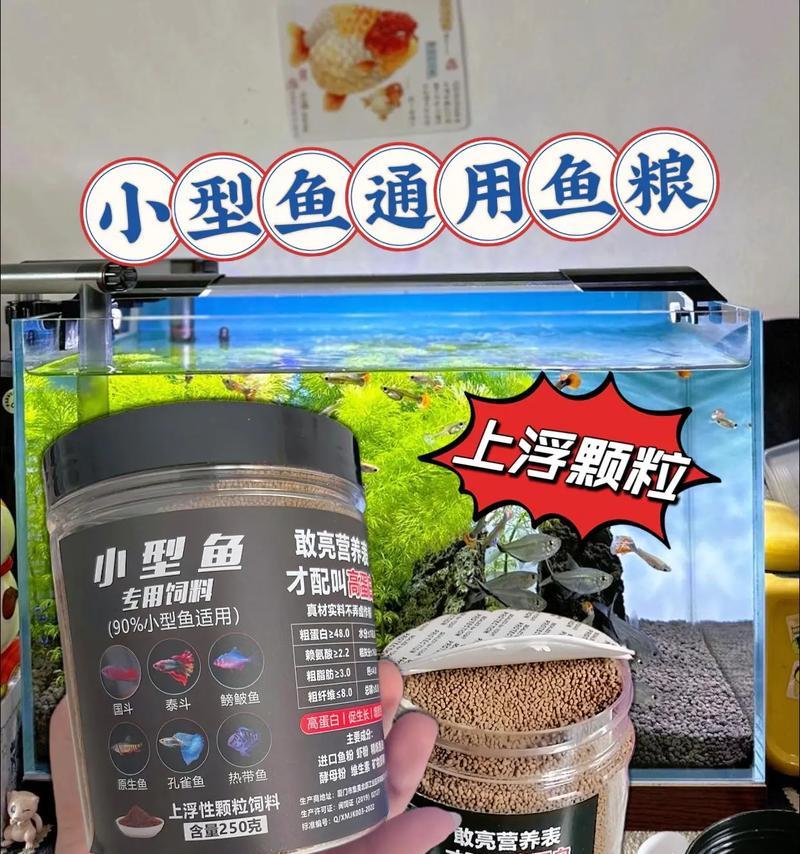 小鱼苗适合吃什么粉状饲料？如何选择合适的饲料？