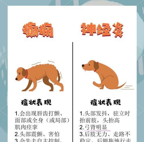 小型犬神经炎表现症状有哪些？如何预防和治疗？