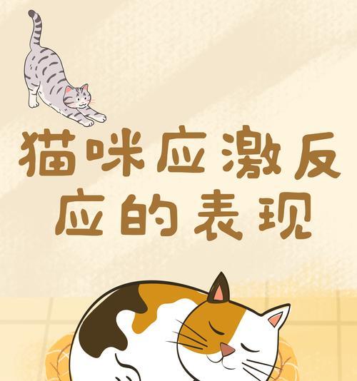 叮当猫拒绝吃猫粮应该怎么办？