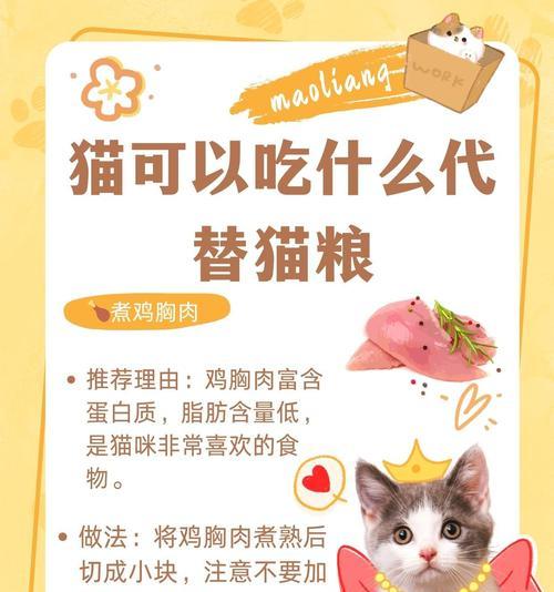 猫咪除了猫粮还能吃什么？有哪些食物可以替代猫粮？