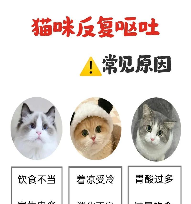 猫咪吃完猫粮后呕吐是什么原因？猫粮导致呕吐怎么办？