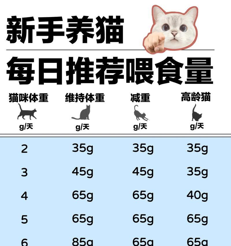 家园猫粮的正确喂食方法是什么？