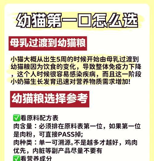 小猫咪多大开始吃猫粮？喂食猫粮的正确时机是什么时候？