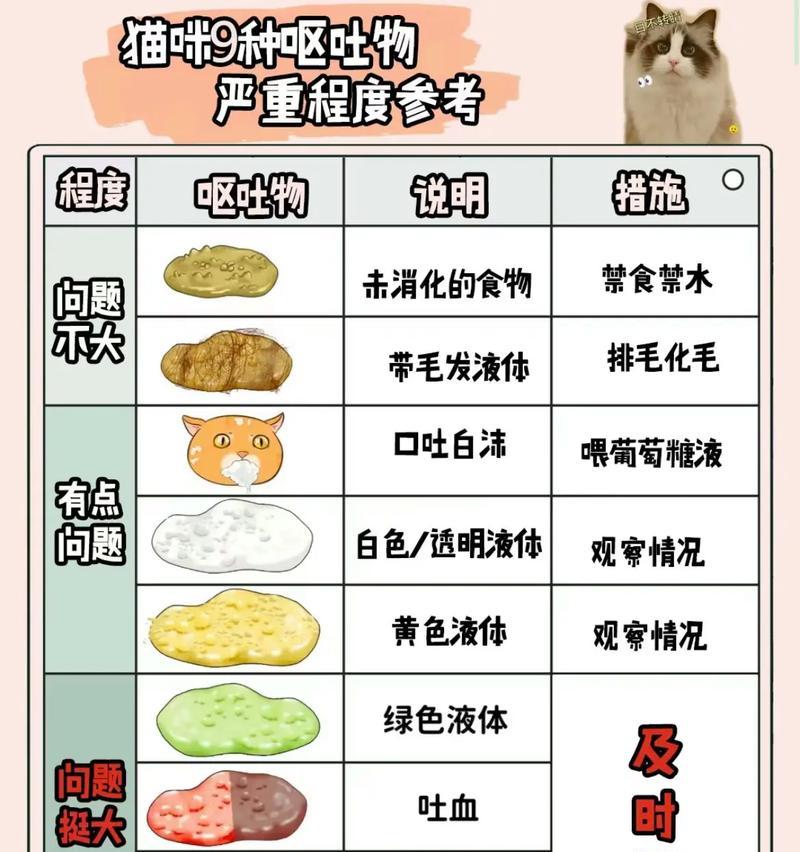 猫吃完猫粮后呕吐该如何处理？