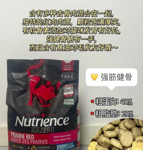 缅因猫智能猫粮盆有哪些功能？如何选择合适的？