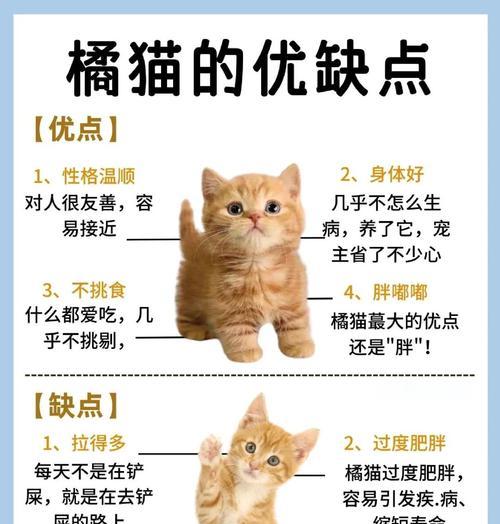 猫吃得多但不活泼是什么原因？如何解决？