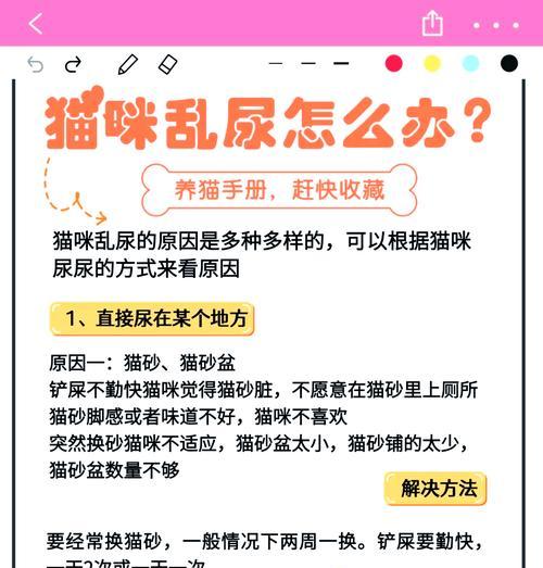 猫把尿拉到猫粮边上怎么办？如何训练猫咪？