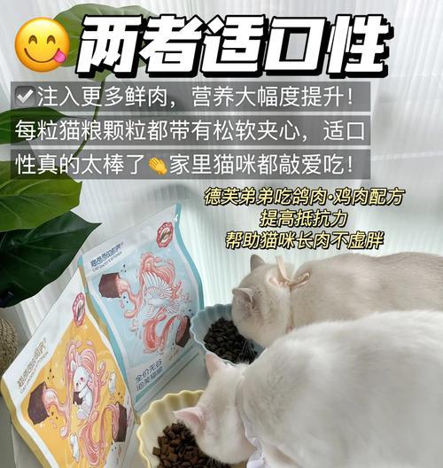 安生和泡芙吃的猫粮哪个更受宠？好吃推荐有哪些？