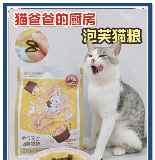 猫咪吃猫粮时用什么工具捣碎更合适？