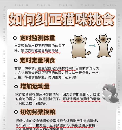 如何惩罚不吃猫粮的猫？猫咪饮食不规律的解决方法是什么？