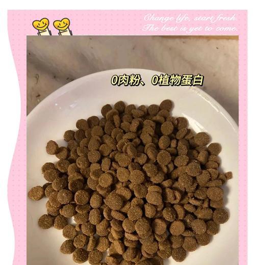 换粮后猫拉屎臭是什么原因？如何解决？