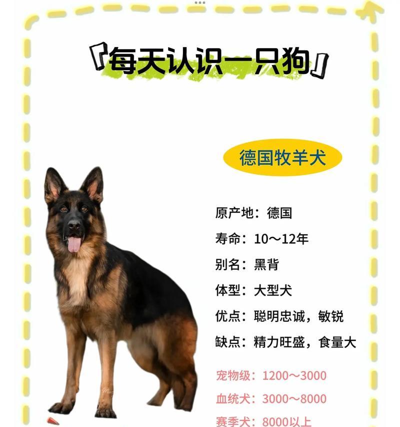 德国牧羊犬价格区间是多少？